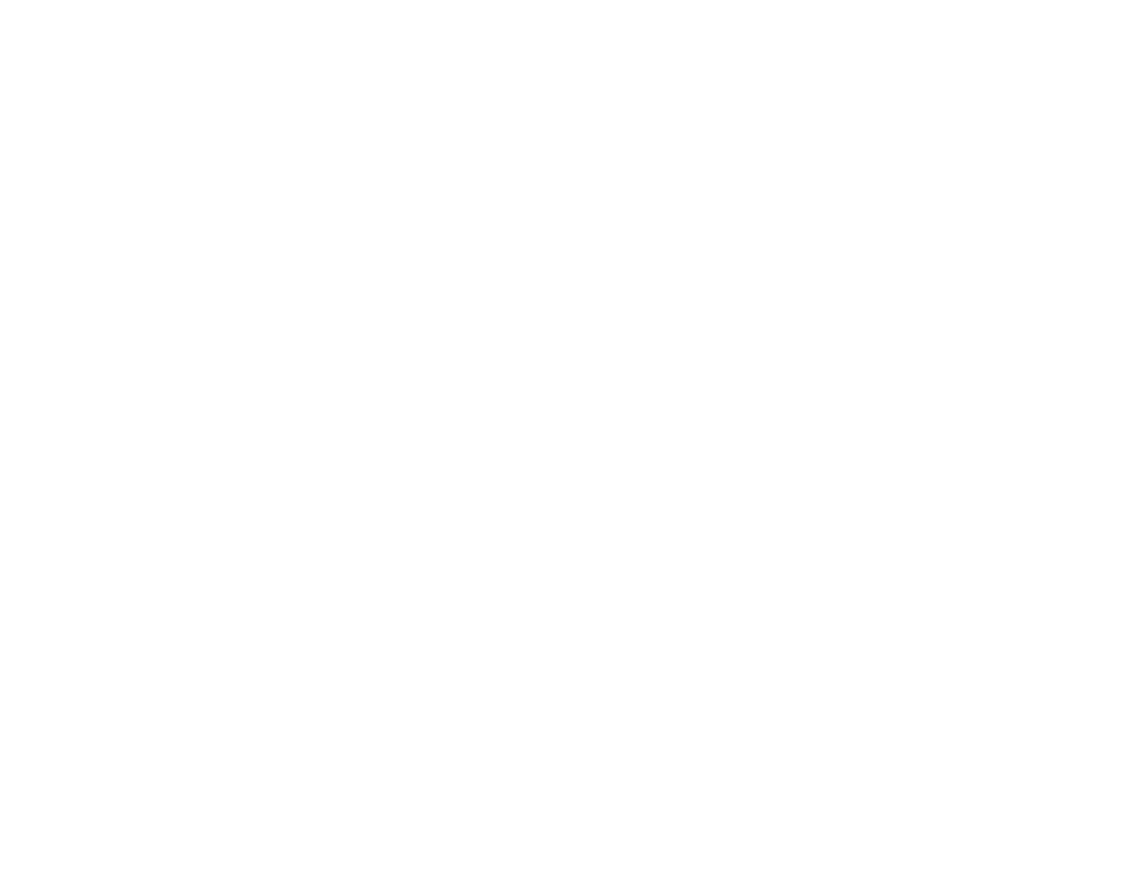 Official AKA GROUP logo